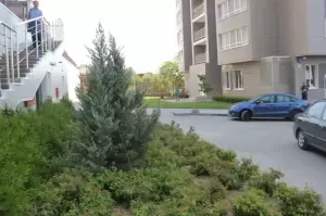 Фотография Вертол Девелопмент 4